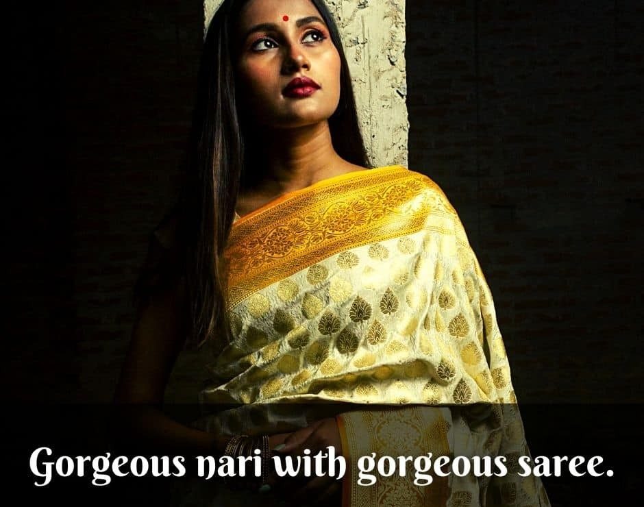Best Captions for Saree Instagram Pictures - INK