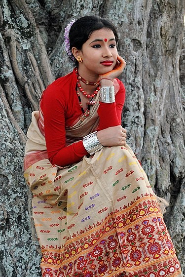 1st pic - Bihu dress of Assam. 2nd pic - Mising tribe of Assam. 3rd-7thpic  - Deori tribe of Assam. . . . . #bhaskarbhandari #explorewithb... |  Instagram